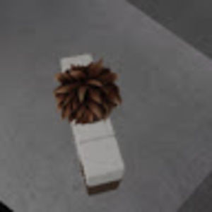 Meet your Posher, Tymeere